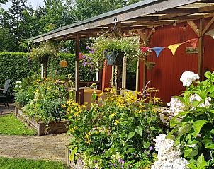 Bloemrijke veranda bij Huisje in De Pol, een vakantiehuis in De Pol, Noordwest Overijssel, Overijssel.