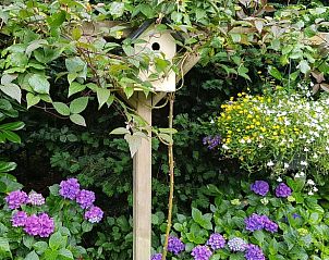 Vogelhuisje in de tuin van Huisje in De Pol, vakantiehuis in Noordwest Overijssel, Overijssel.