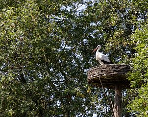 Verblijf 550618 - Vakantiewoning Noordwest Overijssel - OV790