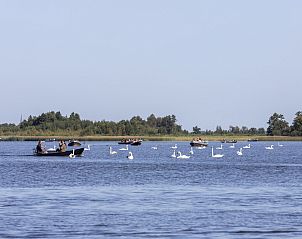 Verblijf 550618 - Vakantiewoning Noordwest Overijssel - OV790