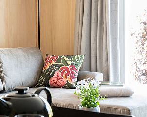 Knusse zithoek in Vakantiehuisje in Scheerwolde, Overijssel, met kleurrijke kussens en natuurlijke lichtinval.