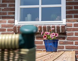 Buitenruimte van Vakantiehuisje in Scheerwolde, Overijssel, met bloeiende bloemen en rustieke details.