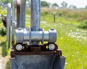 Landelijke omgeving van Vakantiehuisje in Scheerwolde, Overijssel, met groene weiden en rust.