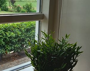 Uitzicht vanuit het raam van Vakantiehuisje in Scheerwolde op de groene omgeving.