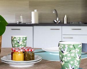 Moderne keuken in Vakantiehuisje in Scheerwolde, perfect voor een vakantie.