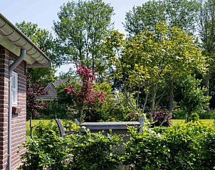 Tuin rondom Vakantiehuisje in Scheerwolde met kleurrijke planten en bomen.