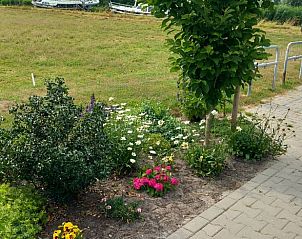 Bloementuin bij Vakantiehuisje in Scheerwolde, Noordwest Overijssel.