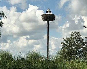 Unterkunft 550810 - Ferienhaus Noordwest Overijssel - Vakantiehuis in Scheerwolde