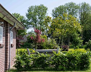 Schapen grazen in de weide bij OV701 vakantiehuis Scheerwolde, Overijssel, omgeven door bloemen.