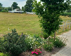 Intiem zitgedeelte buiten bij OV701 vakantiehuis Scheerwolde, Overijssel met stijlvolle stoelen.