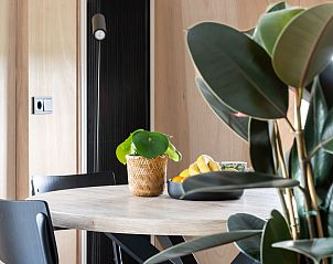 Groene tuin en bomen rond OV701 vakantiehuis Scheerwolde, Overijssel, bieden privacy en rust.