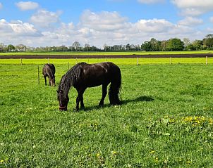 Unterkunft 550815 - Ferienhaus Noordwest Overijssel - OV035