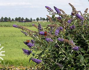 Unterkunft 550815 - Ferienhaus Noordwest Overijssel - OV035
