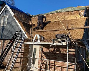 Verblijf 550939 - Vakantiewoning Noordwest Overijssel - Luxe Vakantievilla Weerribben