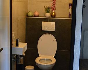 Stijlvolle badkamer in Vakantiehuisje in IJhorst, Overijssel met moderne voorzieningen.