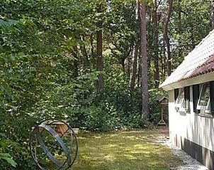 Achtertuin van Vakantiehuisje in IJhorst, Noordwest Overijssel, omringd door natuur.