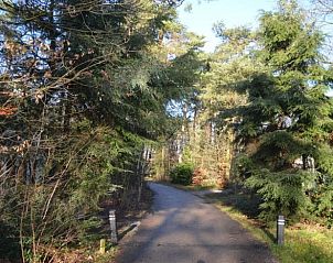 Bospad naar Vakantiehuisje in IJhorst, Overijssel, ideaal voor wandelingen.