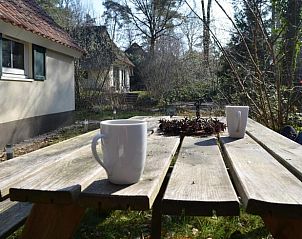Picknicktafel in de tuin van Vakantiehuisje in IJhorst, perfect voor buitenontbijt.