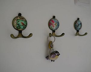 Decoratieve kapstok met sleutels in Vakantiehuisje in IJhorst, een charmant detail in deze vakantiewoning.