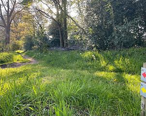 Verblijf 5514108 - Vakantiewoning Noordwest Overijssel - Vakantiehuisje in IJhorst