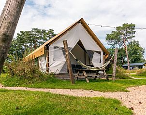 Unterkunft 551433 • Zelthaus Noordwest Overijssel • Glampingtent 