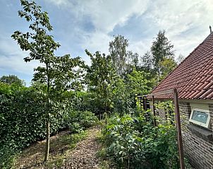 Groene omgeving rondom Vakantiehuis in IJhorst, ideaal voor natuurliefhebbers in Overijssel.