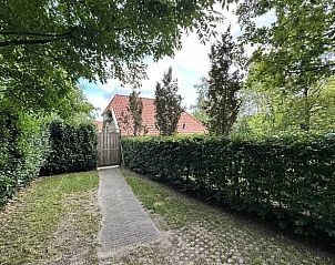 Toegangspad naar Vakantiehuis in IJhorst, omgeven door groen in Noordwest Overijssel.