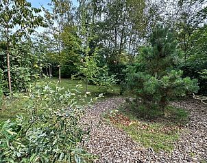 Natuurrijke tuin van Vakantiehuis in IJhorst, perfect voor ontspanning in Overijssel.