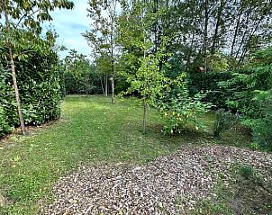 Uitgestrekte tuin bij Vakantiehuis in IJhorst, een perfecte plek voor rust in Overijssel.