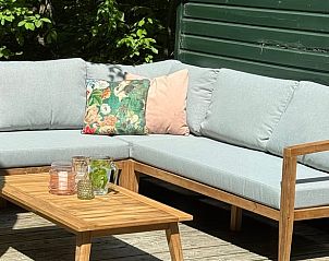 Hond geniet van de natuur bij Vakantiehuisje in IJhorst, Noordwest Overijssel, Overijssel.