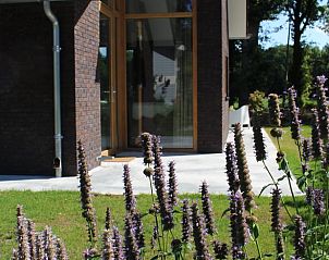 Vakantiehuis in IJhorst met zonnig terras en groene omgeving in Noordwest Overijssel, ideaal voor een ontspannen verblijf.
