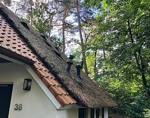 Verblijf 551482 - Vakantiewoning Noordwest Overijssel - Vakantiehuisje in IJhorst