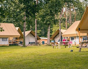 Guest house 551484 - Holiday property Noordwest Overijssel - EuroParcs Reestervallei