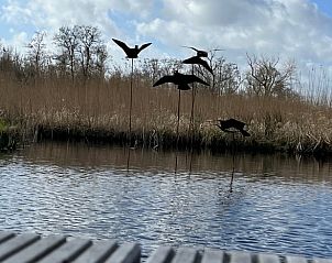 Guest house 551607 - Bed and Breakfast Noordwest Overijssel - Vakantiehuis in Kalenberg