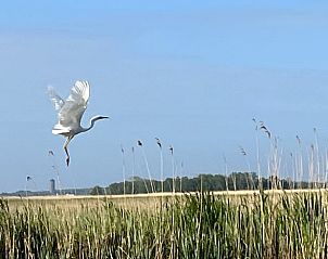 Guest house 551607 - Bed and Breakfast Noordwest Overijssel - Vakantiehuis in Kalenberg