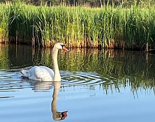 Guest house 551607 - Bed and Breakfast Noordwest Overijssel - Vakantiehuis in Kalenberg