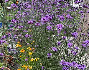 Guest house 551609 - Bed and Breakfast Noordwest Overijssel - Vakantiehuisje in Kalenberg