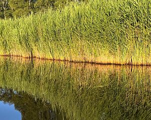 Guest house 551609 - Bed and Breakfast Noordwest Overijssel - Vakantiehuisje in Kalenberg