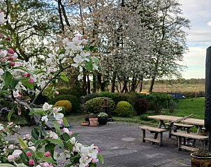 Guest house 551610 - Holiday property Noordwest Overijssel - Huisje in Kalenberg