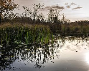 Guest house 551613 - Holiday property Noordwest Overijssel - Vakantiehuisje in Kalenberg