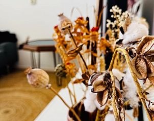 Guest house 551617 - Holiday property Noordwest Overijssel - Vakantiehuisje in Kalenberg