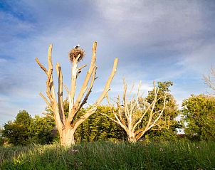 Guest house 551622 - Holiday property Noordwest Overijssel - OV576