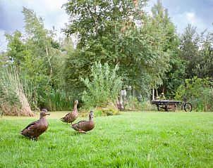 Guest house 551622 - Holiday property Noordwest Overijssel - OV576