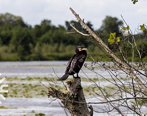 Guest house 551623 - Holiday property Noordwest Overijssel - OV598