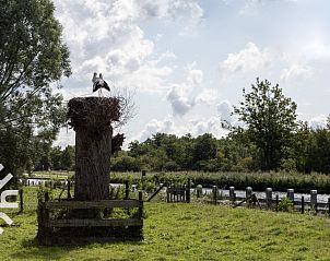 Unterkunft 551716 - Ferienhaus Noordwest Overijssel - OV575