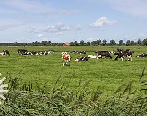 Unterkunft 551716 - Ferienhaus Noordwest Overijssel - OV575