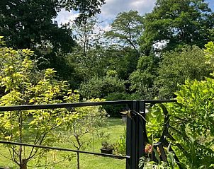 Uitzicht vanaf het terras van Vakantiehuisje in Tuk, omringd door weelderige natuur in Noordwest Overijssel.
