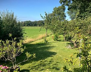 Groene tuin bij Vakantiehuisje in Tuk, perfect voor ontspanning in Noordwest Overijssel.