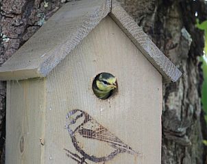 Unterkunft 552408 - Ferienhaus Noordwest Overijssel - Vakantiehuis in IJsselmuiden