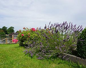 Unterkunft 552409 - Ferienhaus Noordwest Overijssel - Huisje in IJsselmuiden
